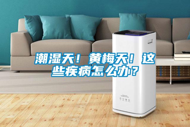 潮濕天！黃梅天！這些疾病怎么辦？