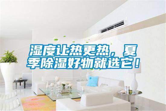 濕度讓熱更熱，夏季除濕好物就選它！