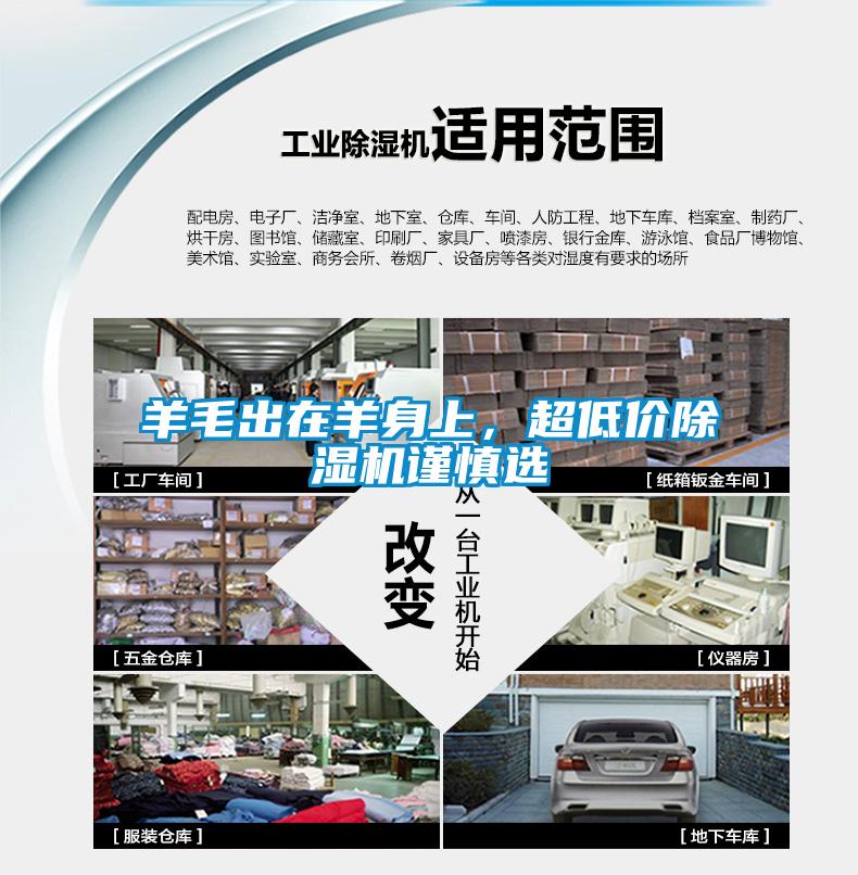 羊毛出在羊身上，超低價除濕機謹(jǐn)慎選