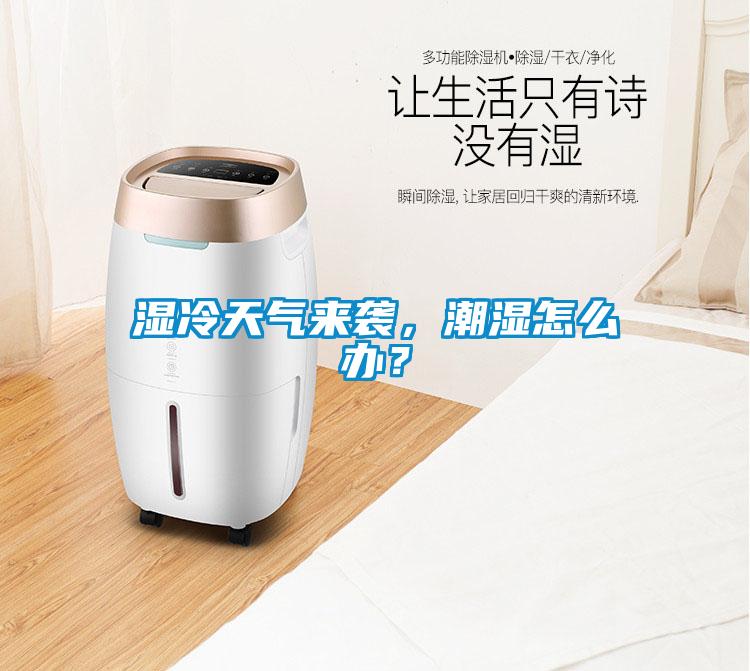 濕冷天氣來襲，潮濕怎么辦？