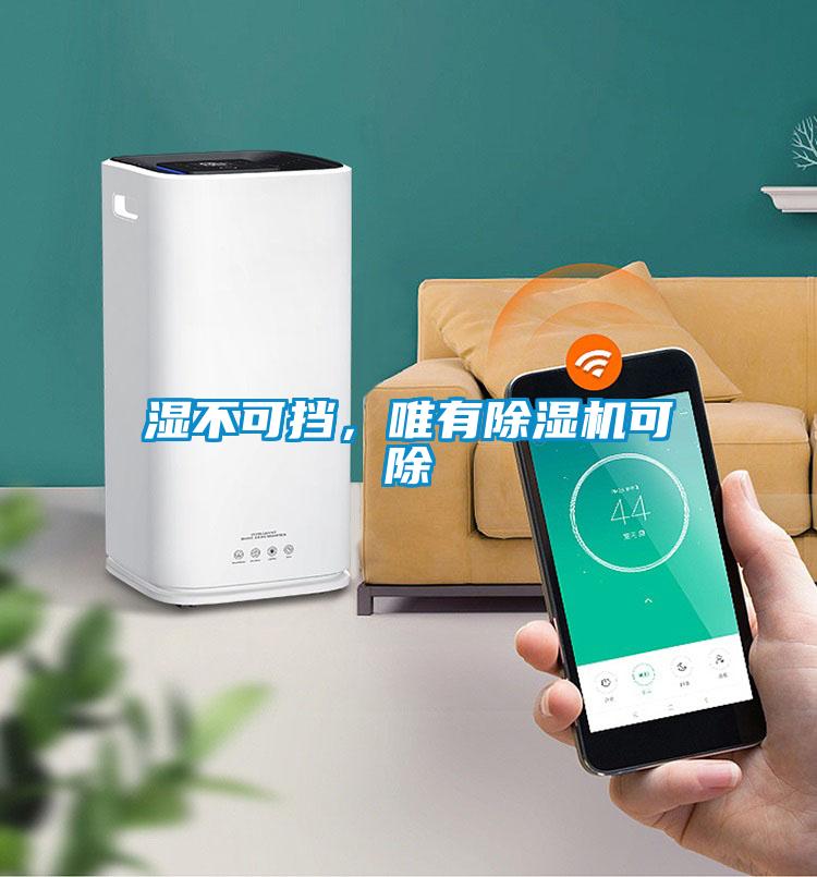 濕不可擋，唯有除濕機(jī)可除