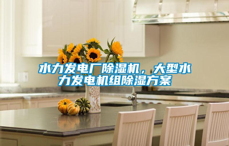 水力發(fā)電廠除濕機，大型水力發(fā)電機組除濕方案