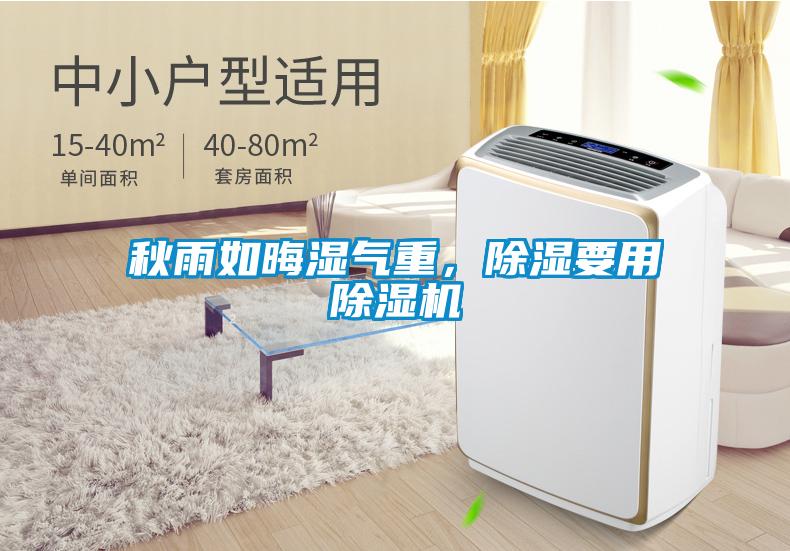 秋雨如晦濕氣重，除濕要用除濕機(jī)