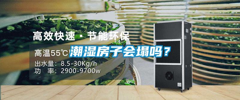 潮濕房子會塌嗎？