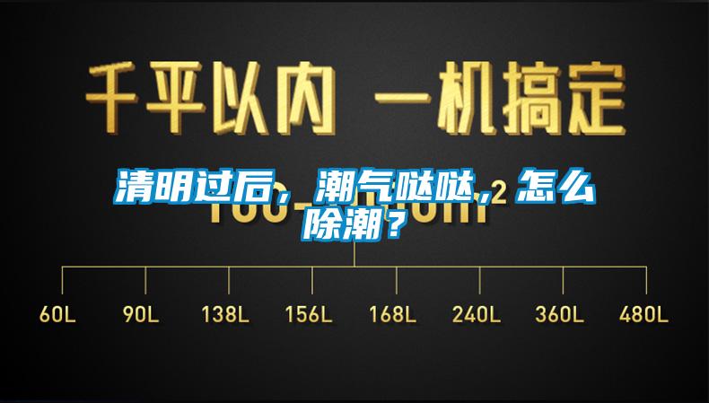 清明過(guò)后，潮氣噠噠，怎么除潮？