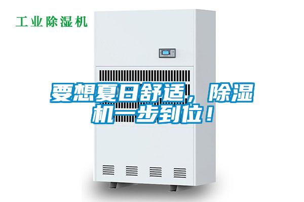 要想夏日舒適，除濕機(jī)一步到位！