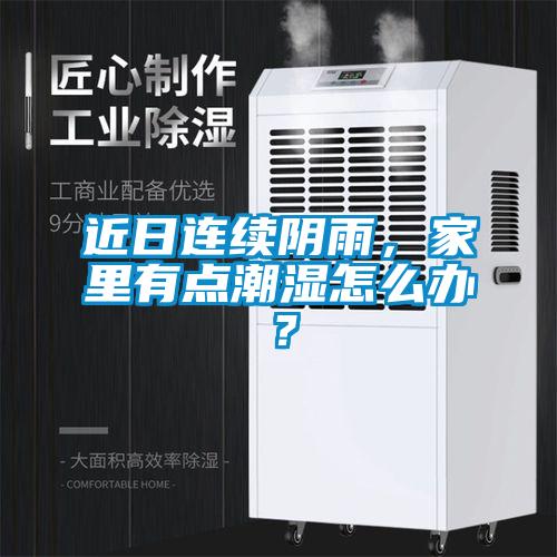 近日連續(xù)陰雨，家里有點潮濕怎么辦？