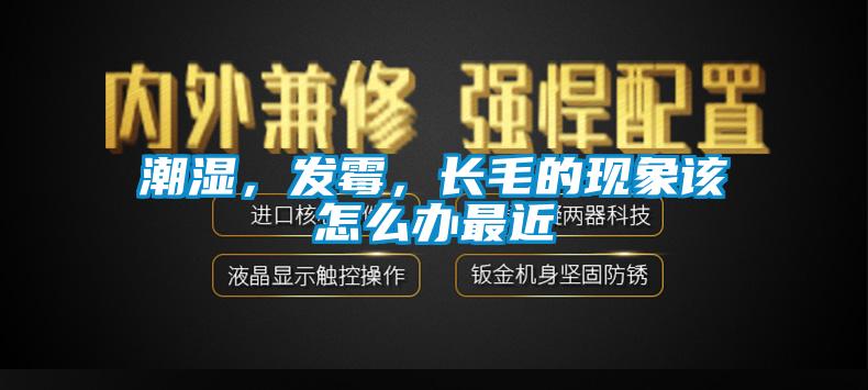 潮濕，發(fā)霉，長毛的現(xiàn)象該怎么辦最近