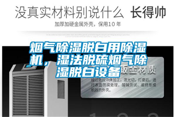 煙氣除濕脫白用除濕機，濕法脫硫煙氣除濕脫白設備
