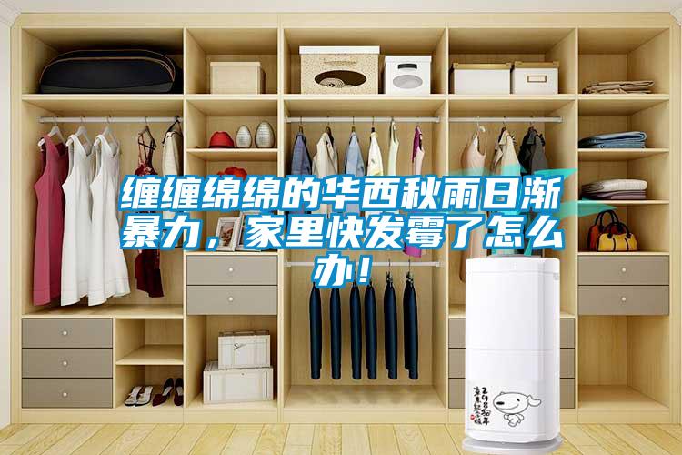纏纏綿綿的華西秋雨日漸暴力，家里快發(fā)霉了怎么辦！