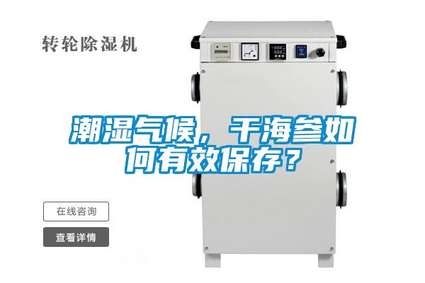 潮濕氣候，干海參如何有效保存？