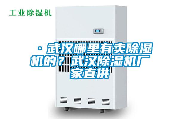 ·武漢哪里有賣除濕機(jī)的？武漢除濕機(jī)廠家直供