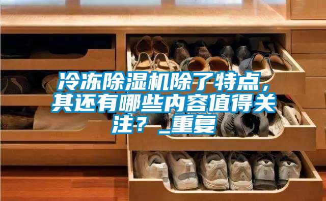 冷凍除濕機(jī)除了特點(diǎn)，其還有哪些內(nèi)容值得關(guān)注？_重復(fù)