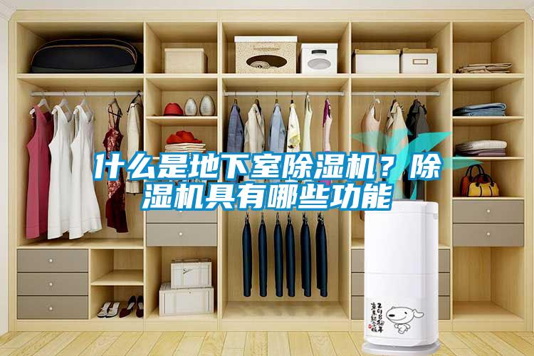 什么是地下室除濕機？除濕機具有哪些功能