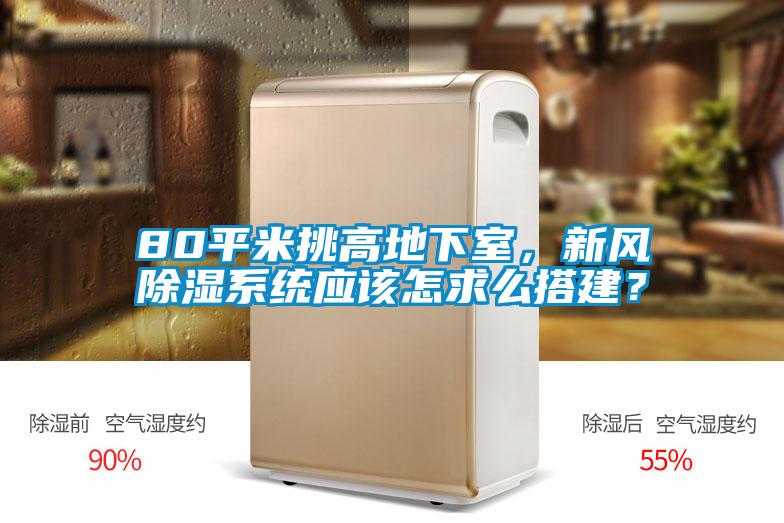 80平米挑高地下室，新風(fēng)除濕系統(tǒng)應(yīng)該怎求么搭建？
