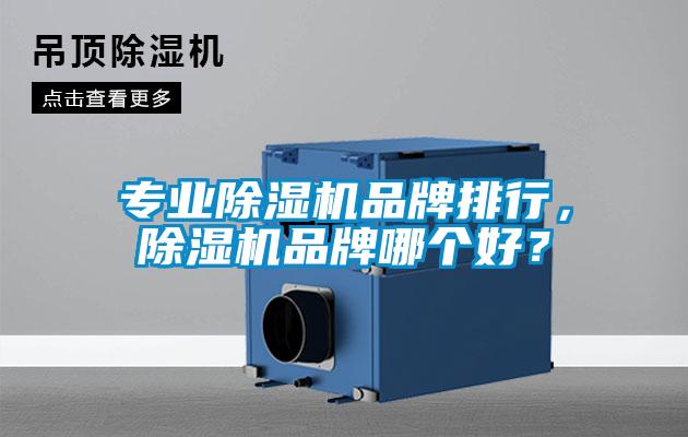 專業(yè)除濕機(jī)品牌排行，除濕機(jī)品牌哪個(gè)好？