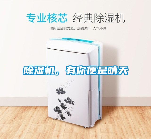 除濕機，有你便是晴天