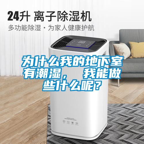 為什么我的地下室有潮濕， 我能做些什么呢？