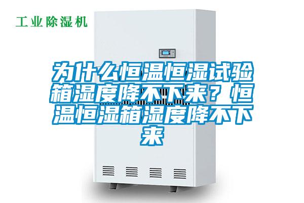 為什么恒溫恒濕試驗箱濕度降不下來？恒溫恒濕箱濕度降不下來