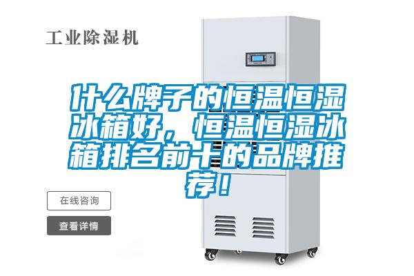 什么牌子的恒溫恒濕冰箱好，恒溫恒濕冰箱排名前十的品牌推薦！