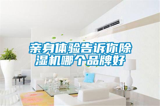 親身體驗(yàn)告訴你除濕機(jī)哪個品牌好