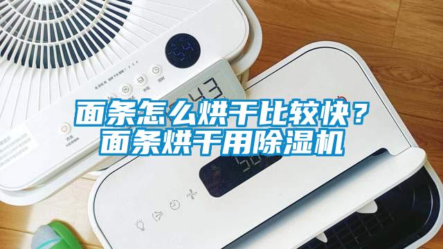 面條怎么烘干比較快？面條烘干用除濕機(jī)