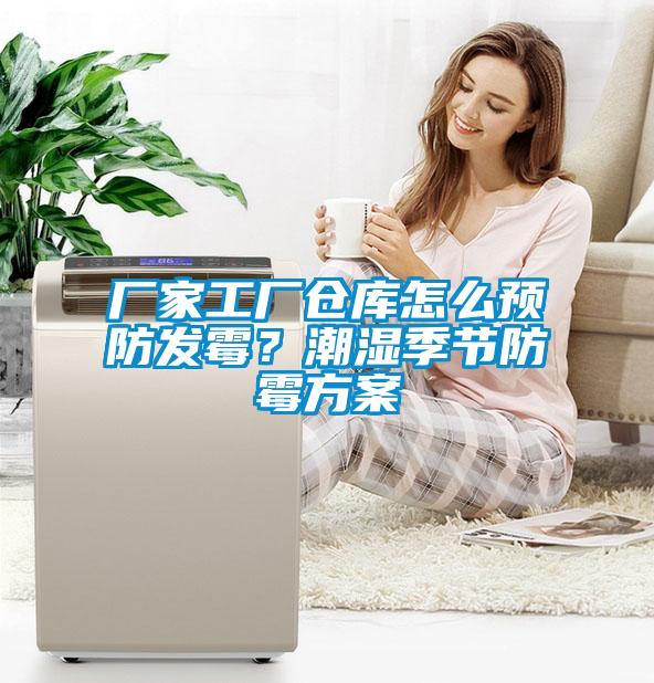 廠家工廠倉庫怎么預防發(fā)霉？潮濕季節(jié)防霉方案