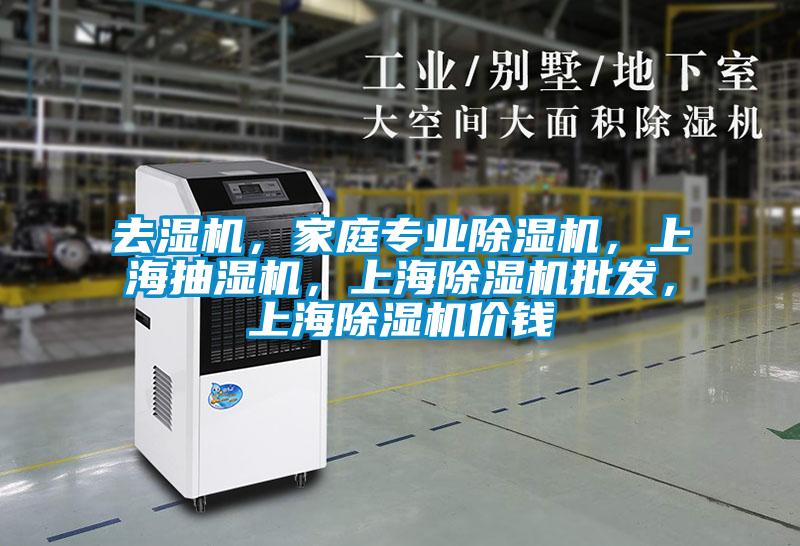 去濕機，家庭專業(yè)除濕機，上海抽濕機，上海除濕機批發(fā)，上海除濕機價錢