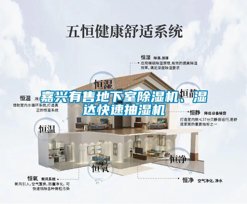 嘉興有售地下室除濕機(jī)、濕達(dá)快速抽濕機(jī)