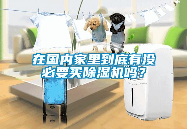 在國內(nèi)家里到底有沒必要買除濕機嗎？