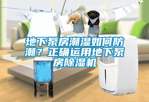 地下泵房潮濕如何防潮？正確運用地下泵房除濕機