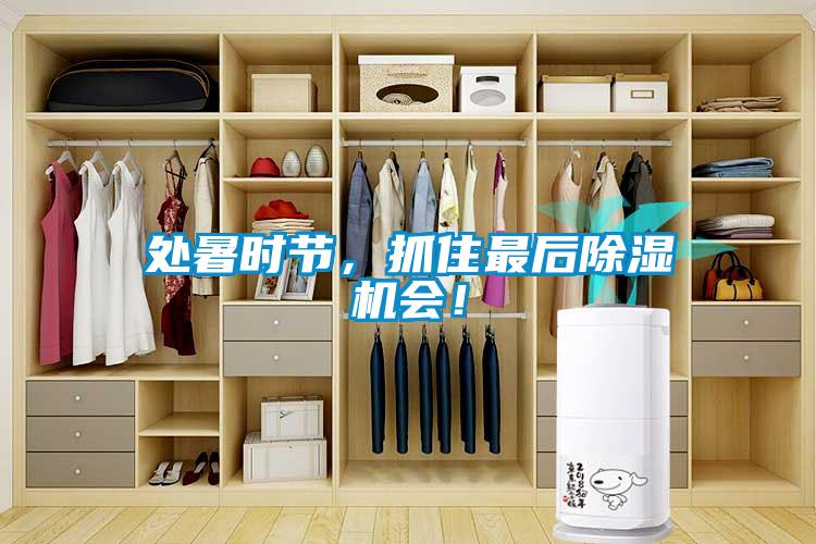 處暑時節(jié)，抓住最后除濕機會！