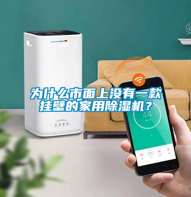 為什么市面上沒有一款掛壁的家用除濕機(jī)？