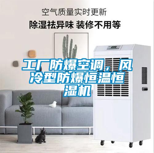 工廠防爆空調(diào)，風(fēng)冷型防爆恒溫恒濕機(jī)