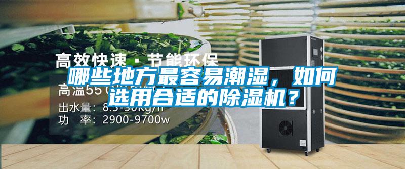 哪些地方最容易潮濕，如何選用合適的除濕機(jī)？