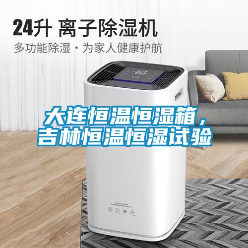 大連恒溫恒濕箱，吉林恒溫恒濕試驗(yàn)