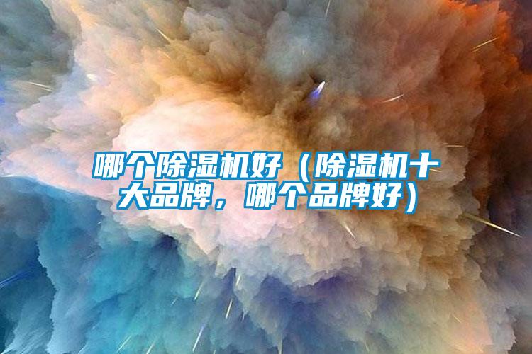 哪個(gè)除濕機(jī)好（除濕機(jī)十大品牌，哪個(gè)品牌好）