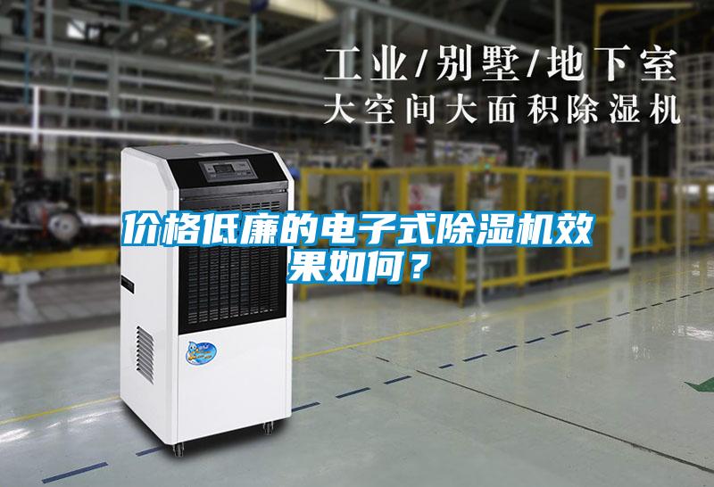 價格低廉的電子式除濕機效果如何？