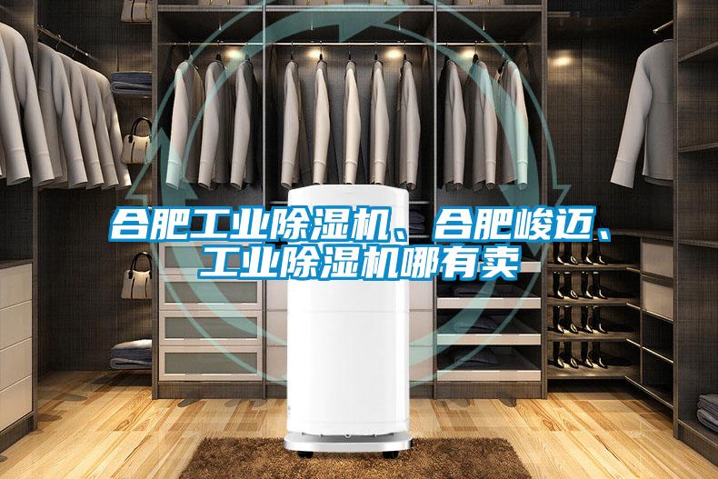 合肥工業(yè)除濕機、合肥峻邁、工業(yè)除濕機哪有賣
