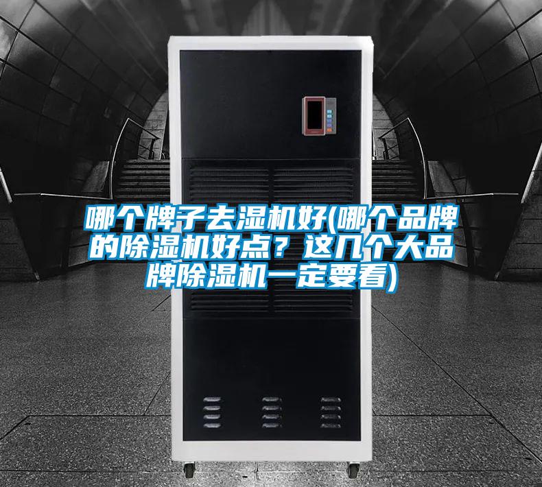 哪個(gè)牌子去濕機(jī)好(哪個(gè)品牌的除濕機(jī)好點(diǎn)？這幾個(gè)大品牌除濕機(jī)一定要看)