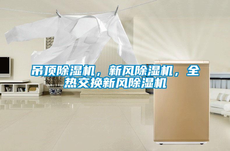 吊頂除濕機(jī)，新風(fēng)除濕機(jī)，全熱交換新風(fēng)除濕機(jī)