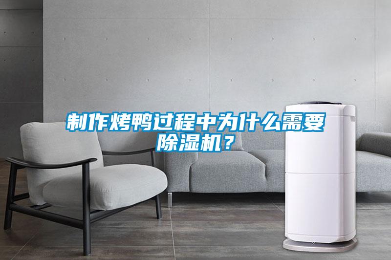 制作烤鴨過(guò)程中為什么需要除濕機(jī)？