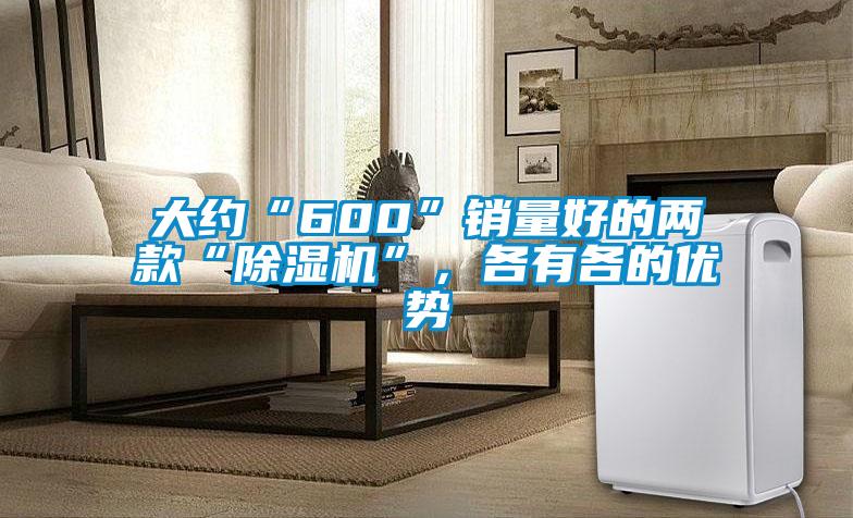 大約“600”銷量好的兩款“除濕機”，各有各的優(yōu)勢