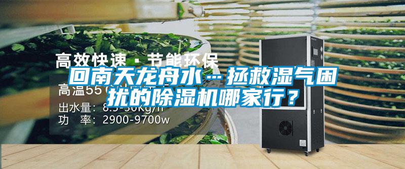 回南天龍舟水…拯救濕氣困擾的除濕機(jī)哪家行？