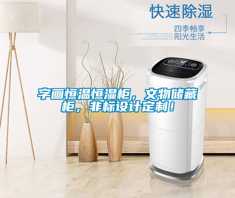 字畫恒溫恒濕柜，文物儲藏柜，非標設計定制！