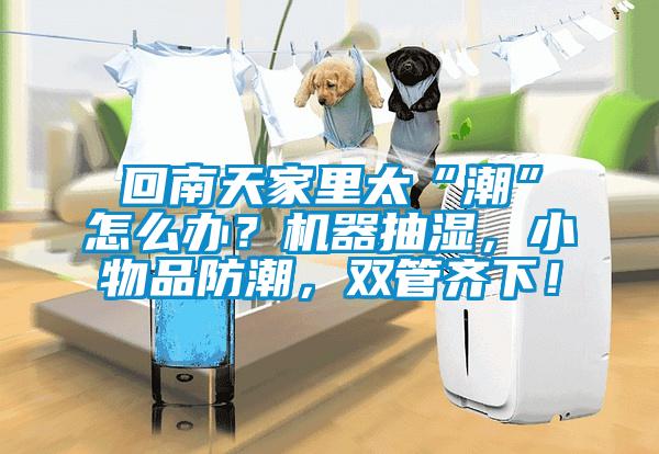 回南天家里太“潮”怎么辦？機器抽濕，小物品防潮，雙管齊下！
