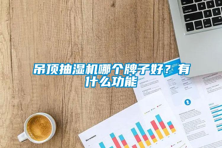 吊頂抽濕機哪個牌子好？有什么功能