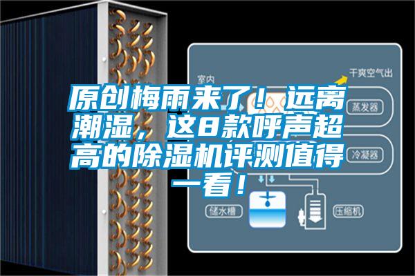 原創(chuàng)梅雨來了！遠(yuǎn)離潮濕，這8款呼聲超高的除濕機(jī)評(píng)測值得一看！