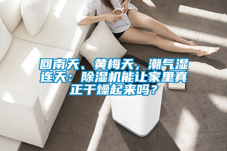 回南天、黃梅天，潮氣濕連天：除濕機(jī)能讓家里真正干燥起來嗎？
