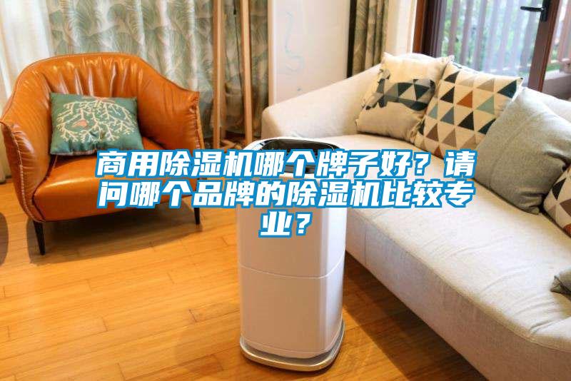 商用除濕機(jī)哪個(gè)牌子好？請(qǐng)問(wèn)哪個(gè)品牌的除濕機(jī)比較專(zhuān)業(yè)？